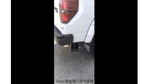 Ford Raptor F150 6.2